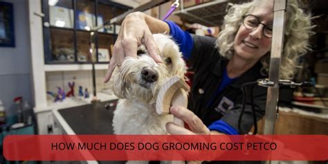 grooming packages at petco|petco grooming prices 2023.